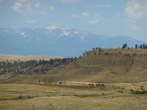 More Montana Mountain Views
