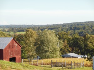 Barn and scenery