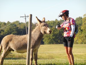 Deb with Donkey
