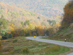Fall foliage in SusqueHannock State Forest